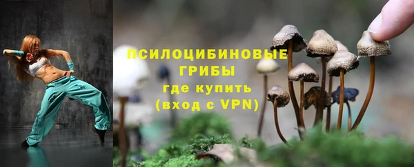 прущие грибы Покровск
