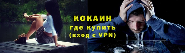 прущие грибы Покровск