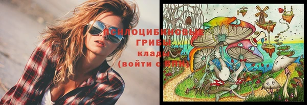 прущие грибы Покровск