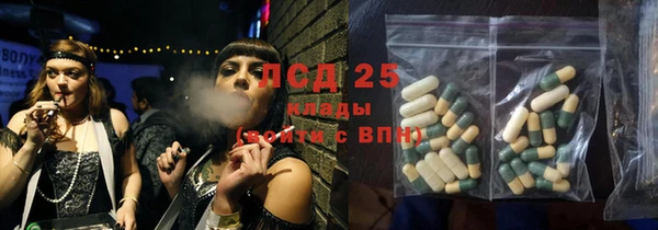 прущие грибы Покровск