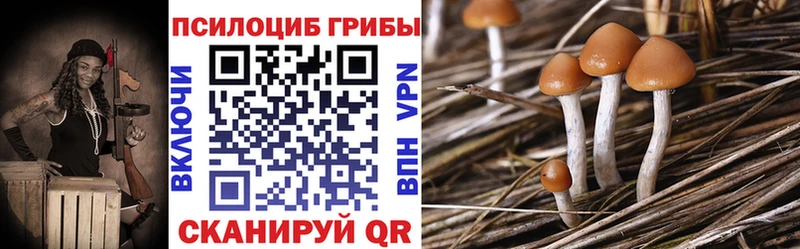 купить наркотики цена  Чусовой  кракен ONION  Псилоцибиновые грибы Psilocybine cubensis 